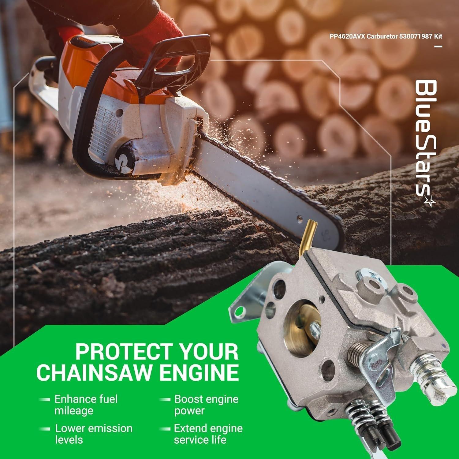 530071987 Carburetor image 2