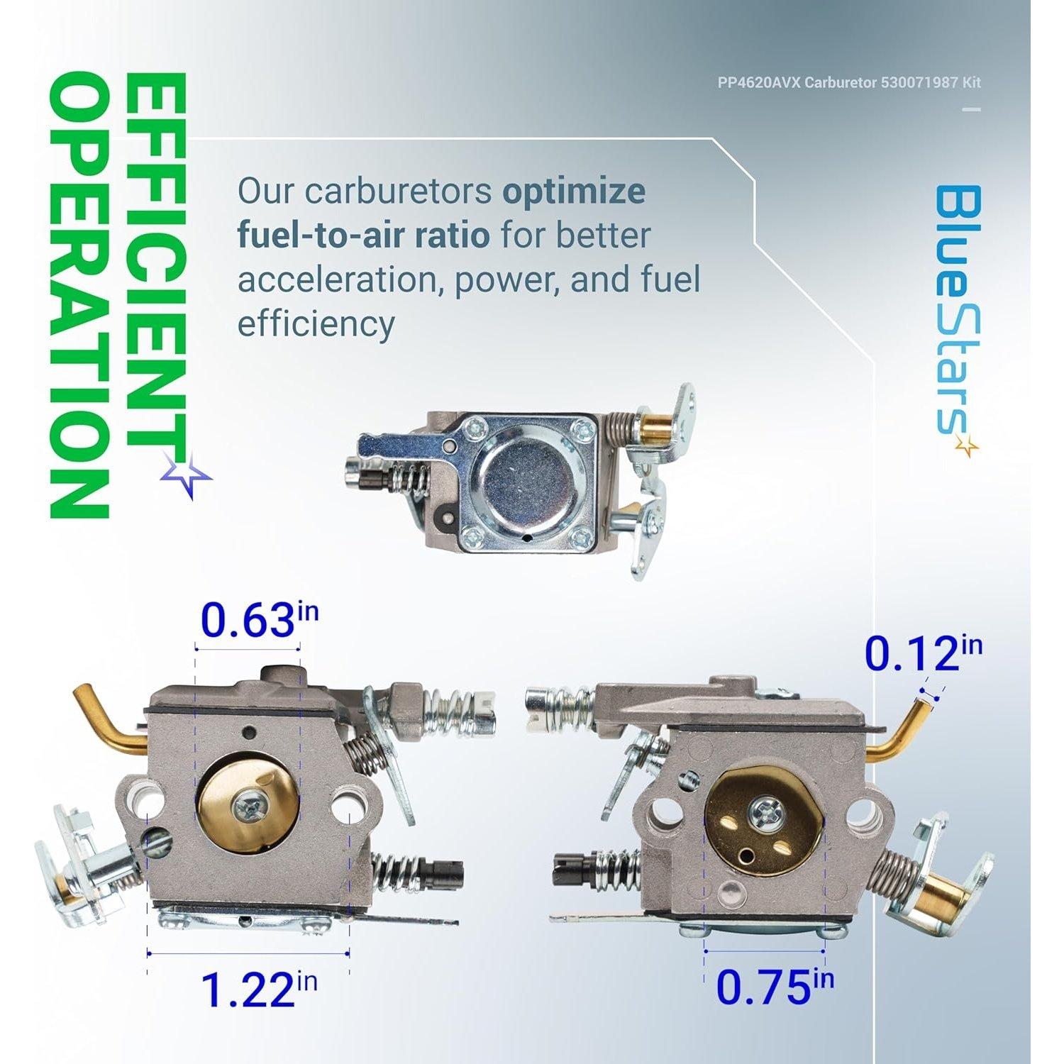 530071987 Carburetor image 1