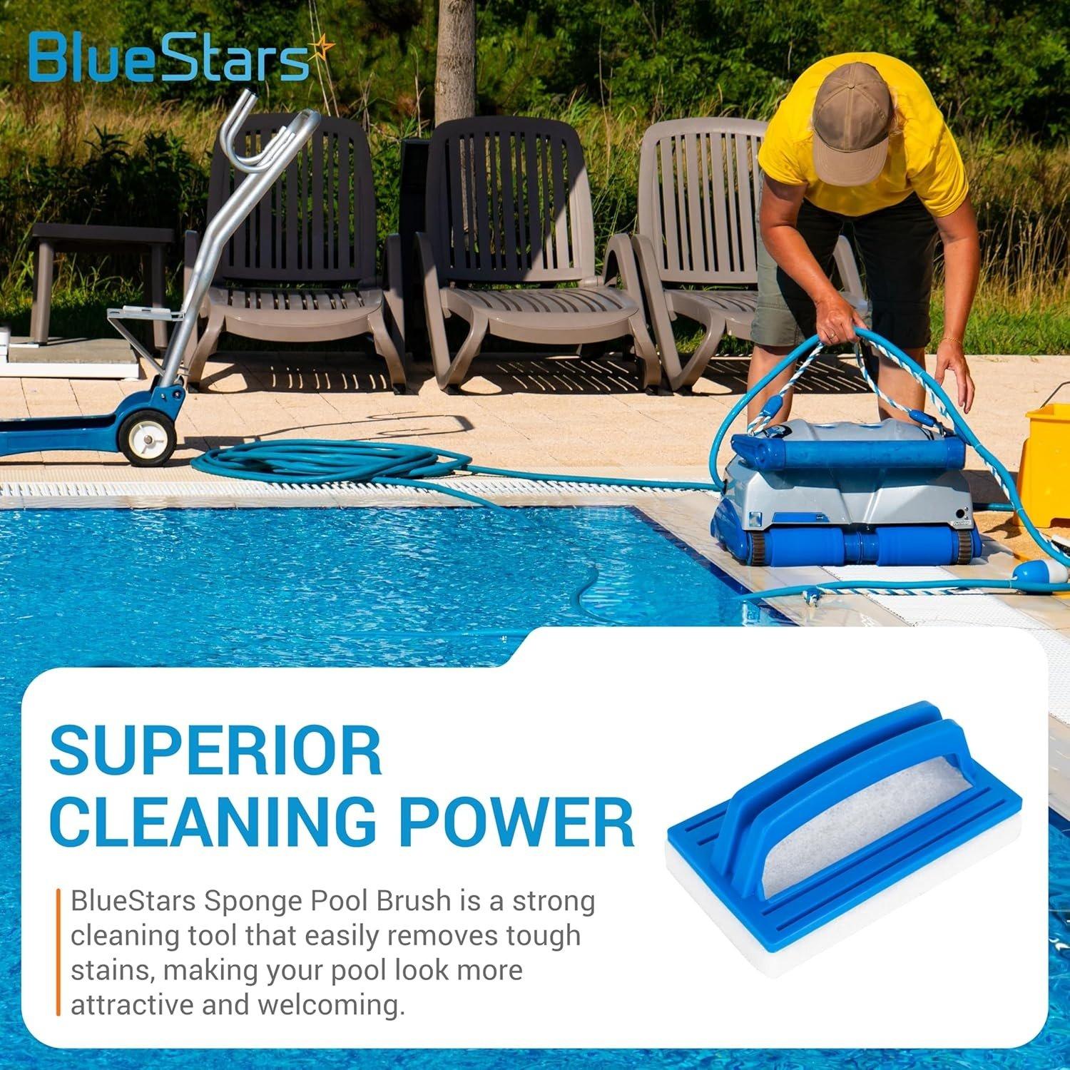 [Lifetime Warranty] Hand-Held Sponge Swimming Pool Scrub Brush - Pack of 2 image 1