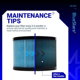 MK01 MK06 Filter - Pack of 2 thumbnail 3