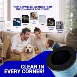 MK01 MK06 Filter - Pack of 2 thumbnail 6