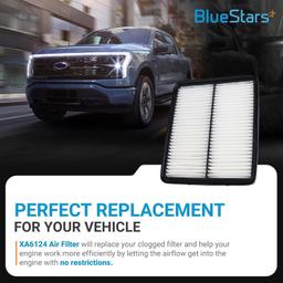 XA6124 Engine Protection Air Filter - Pack of 2 thumbnail 2