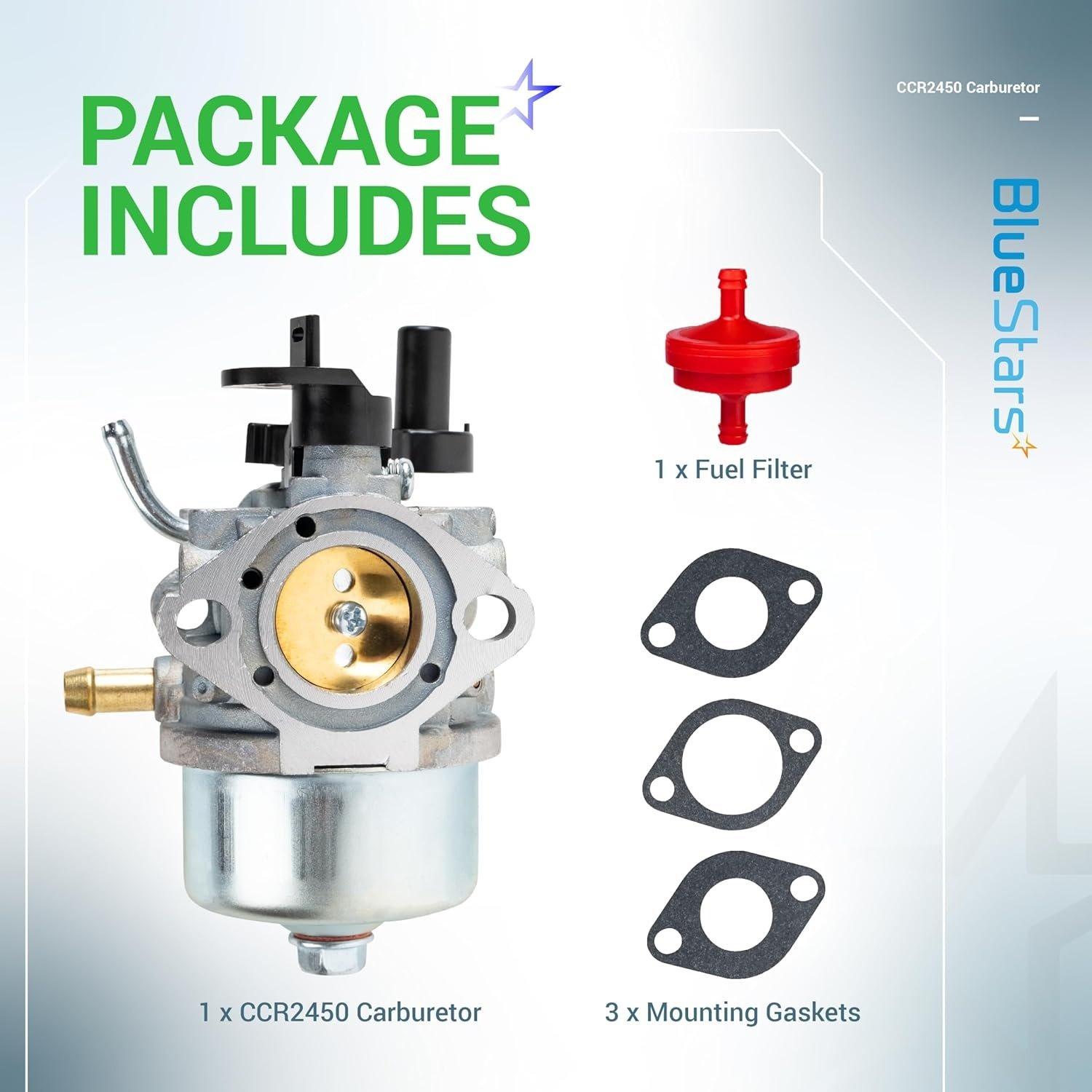 801396 CCR2450 Carburetor image 2