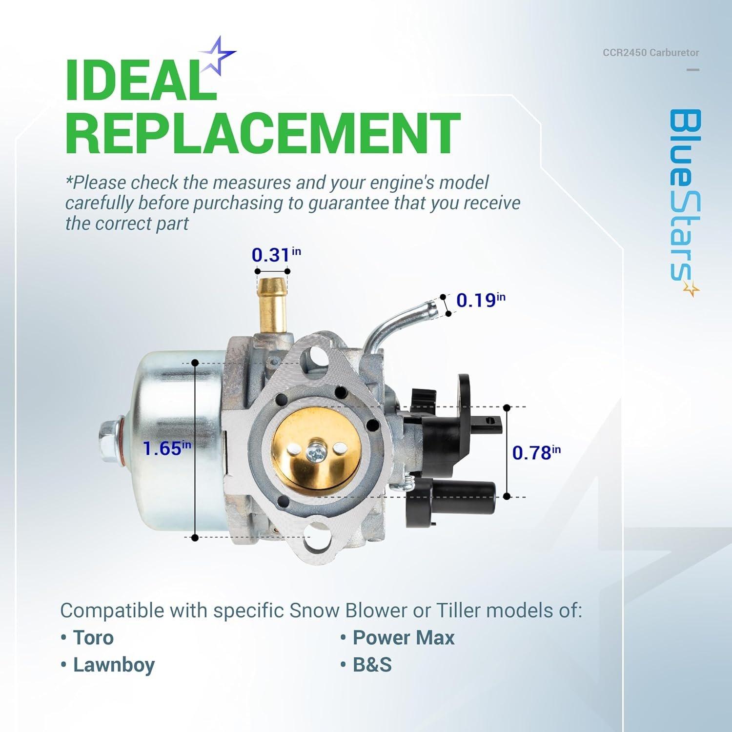801396 CCR2450 Carburetor image 1