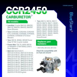 801396 CCR2450 Carburetor thumbnail 6