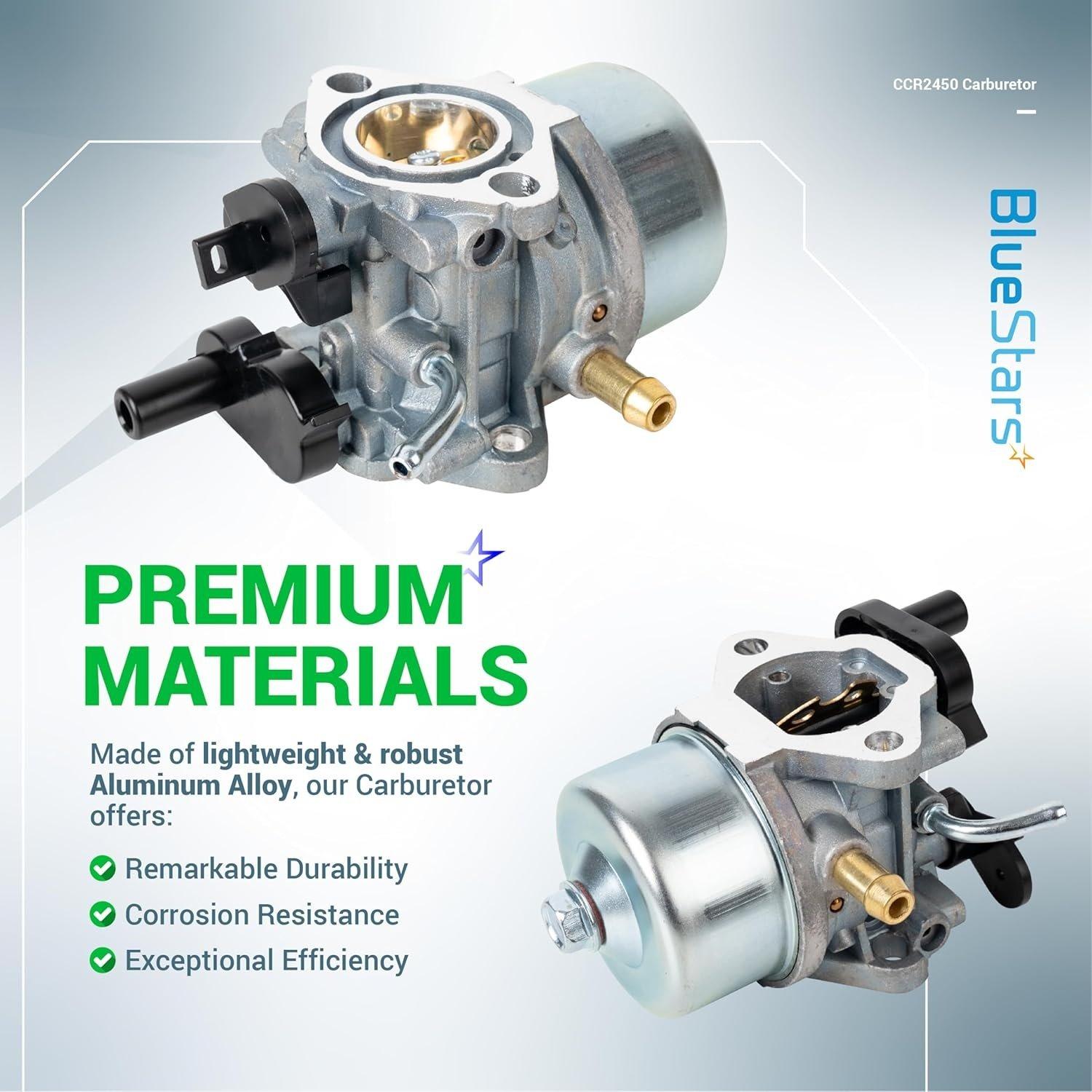 801396 CCR2450 Carburetor image 5