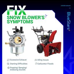 801396 CCR2450 Carburetor thumbnail 3