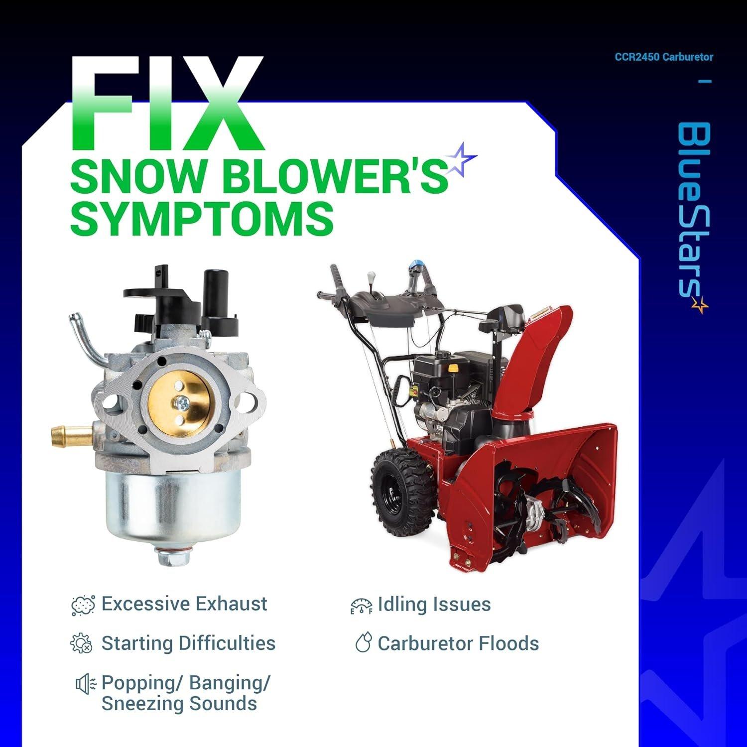 801396 CCR2450 Carburetor image 3
