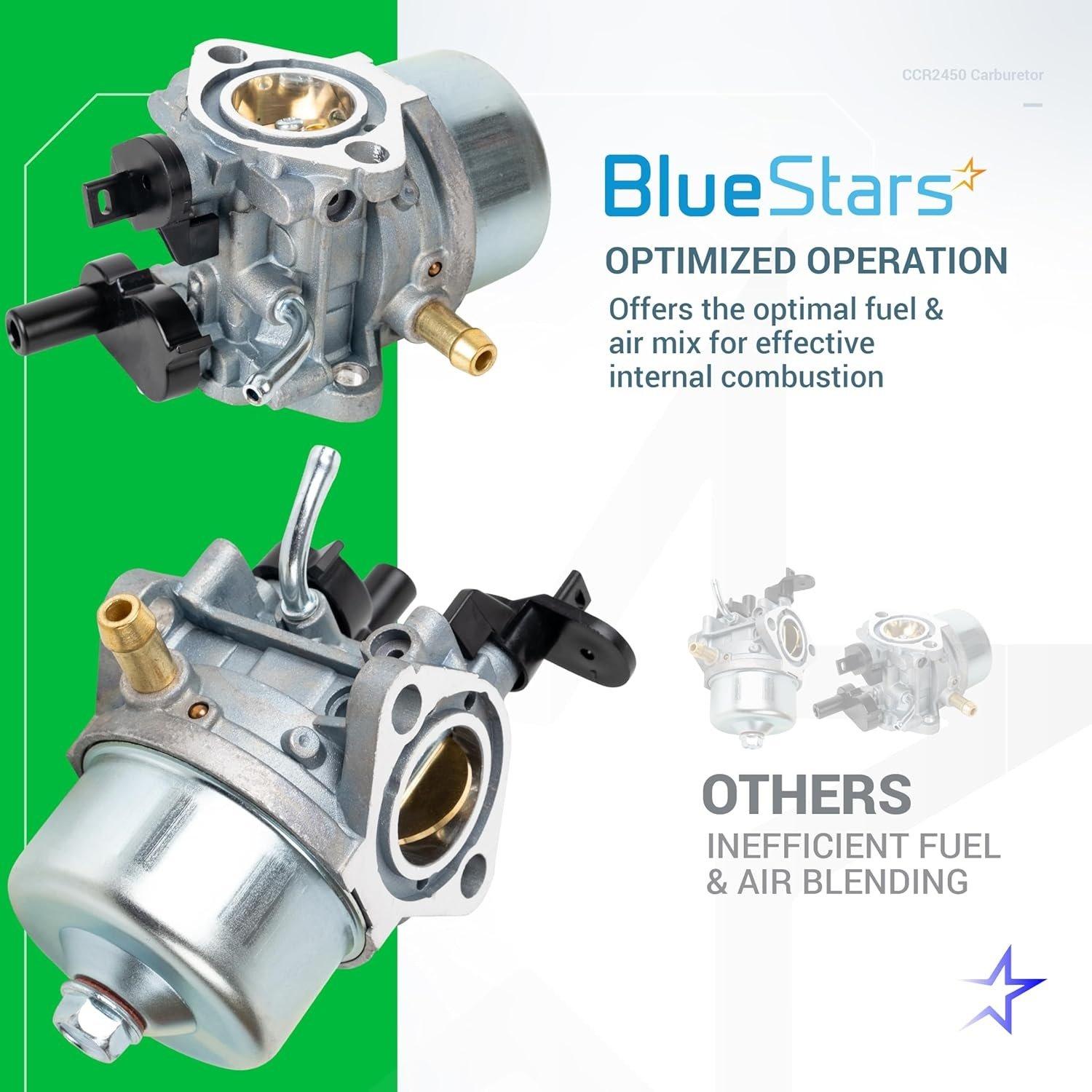 801396 CCR2450 Carburetor image 4