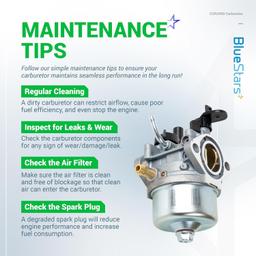 801396 CCR2450 Carburetor thumbnail 8