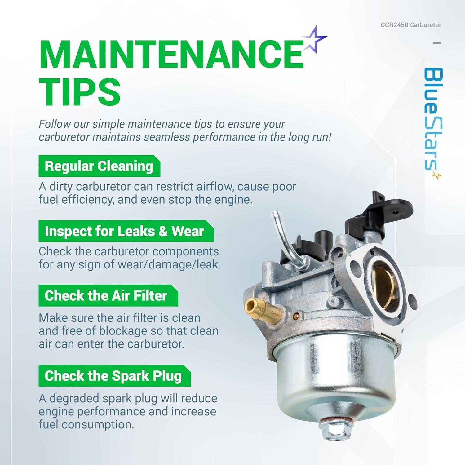 801396 CCR2450 Carburetor image 8