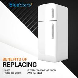 [Lifetime Warranty] 241509402 Refrigerator Evaporator Fan Motor - Compatible with Frigidaire Electrolux Kenmore Refrigerators - Replaces 241509401 AP3958808 PS1526073 AH1526073 EA1526073 7241509402 thumbnail 3