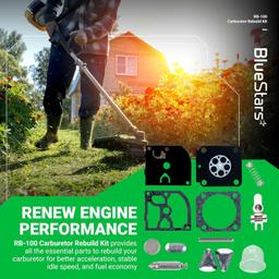 [Lifetime Warranty] RB-100 Carburetor Rebuild Kit with Primer Bulb thumbnail 1