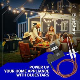 Double Ignition Kit Electronic Igniter with Double Ignition Electrodes thumbnail 6