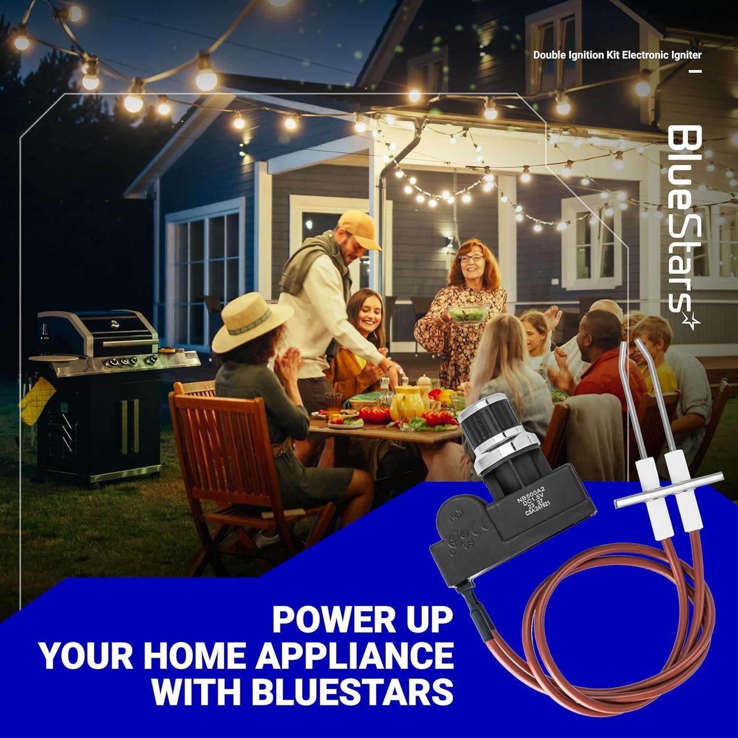 Double Ignition Kit Electronic Igniter with Double Ignition Electrodes image 6