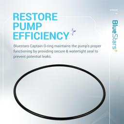 [Lifetime Warranty] 350013 Lid O-Ring - Pack of 3 thumbnail 2