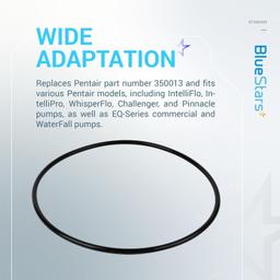 [Lifetime Warranty] 350013 Lid O-Ring - Pack of 3 thumbnail 5