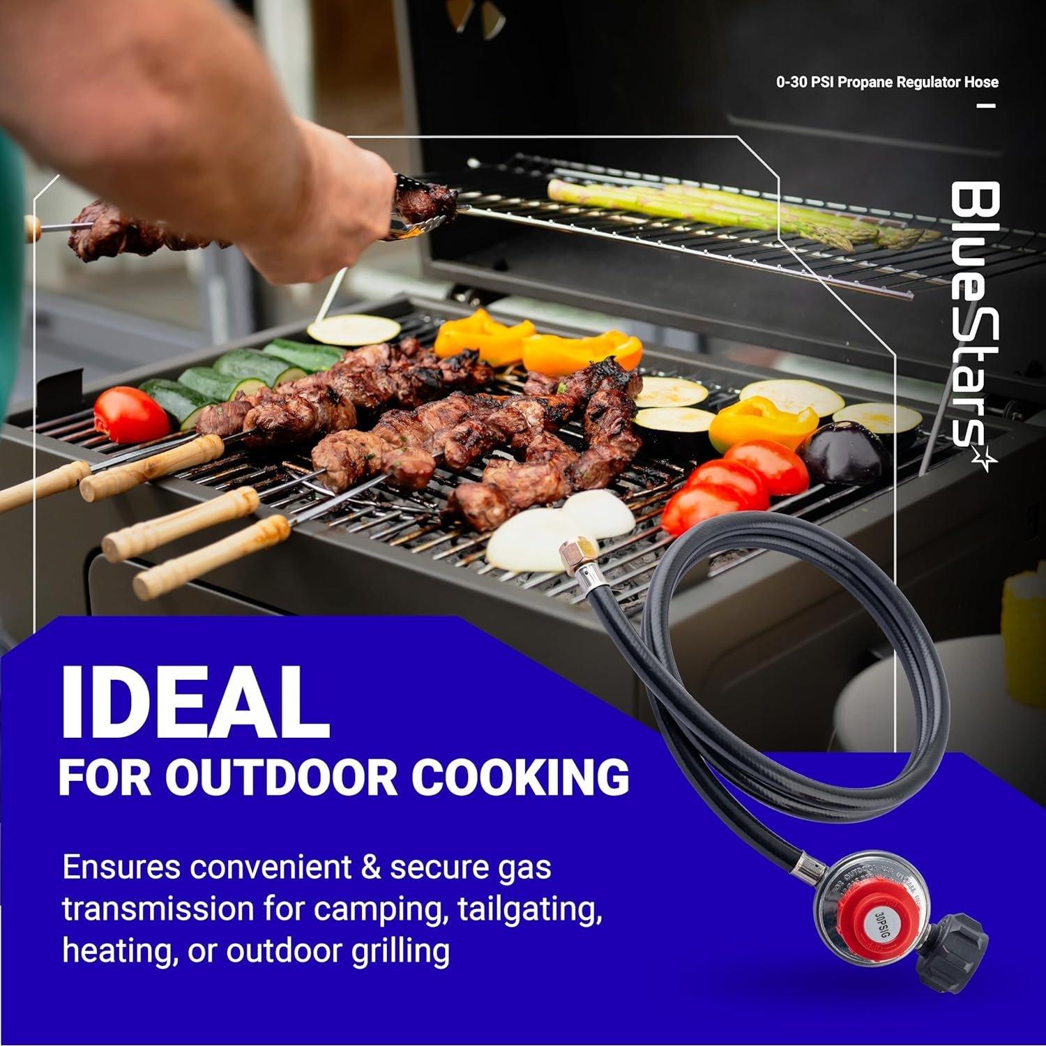 [Lifetime Warranty] 4FT 0-30 PSI Adjustable Propane Regulator with QCC1/Type1 x 3/8" Flare Hose image 1