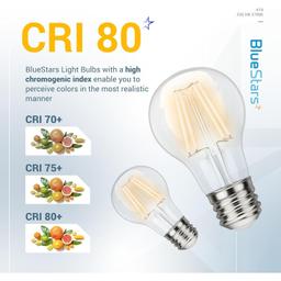 [Lifetime Warranty] A19 LED Vintage LED Filament Bulb E26 Standard Base 120V 5W (60 Watt Equivalent), 2700K Warm White thumbnail 3