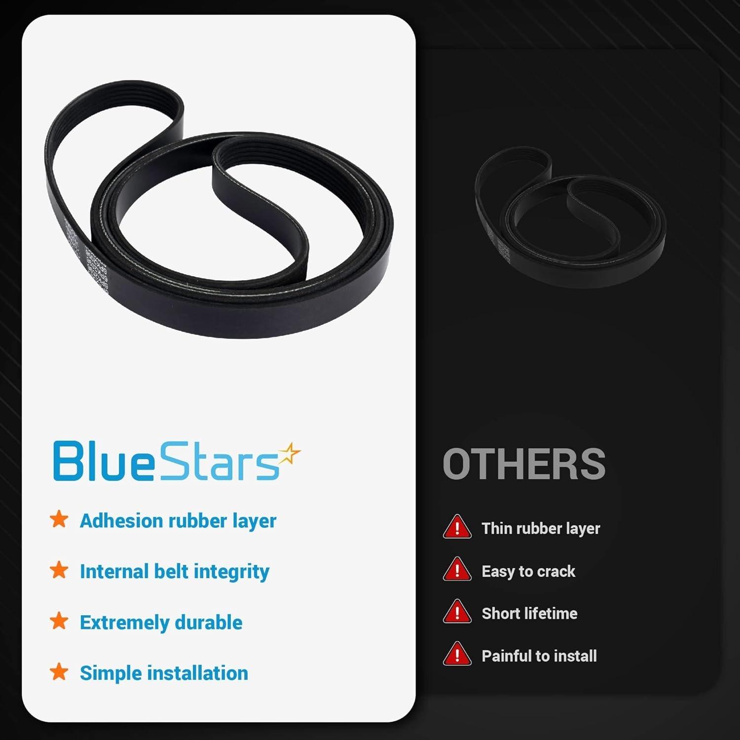 1060825 Serpentine Belt image 1