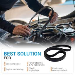 1060825 Serpentine Belt thumbnail 2