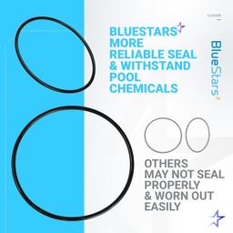 [Lifetime Warranty] Heavy Duty Rubber CLX200K O-Ring CLX200K O-Ring thumbnail 6