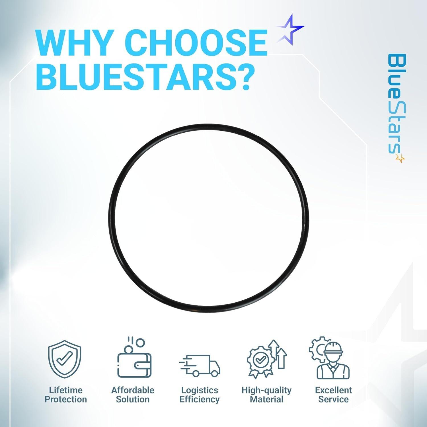 [Lifetime Warranty] Heavy Duty Rubber CLX200K O-Ring CLX200K O-Ring image 7