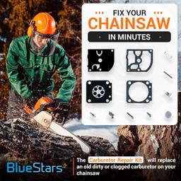 RB-66 Carburetor Carb Rebuild Kit thumbnail 5