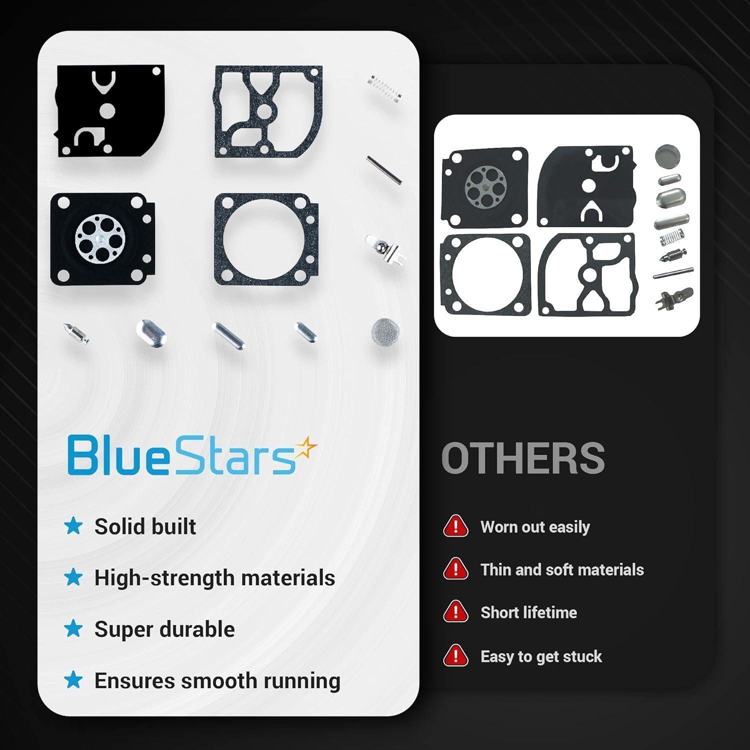 RB-66 Carburetor Carb Rebuild Kit image 1