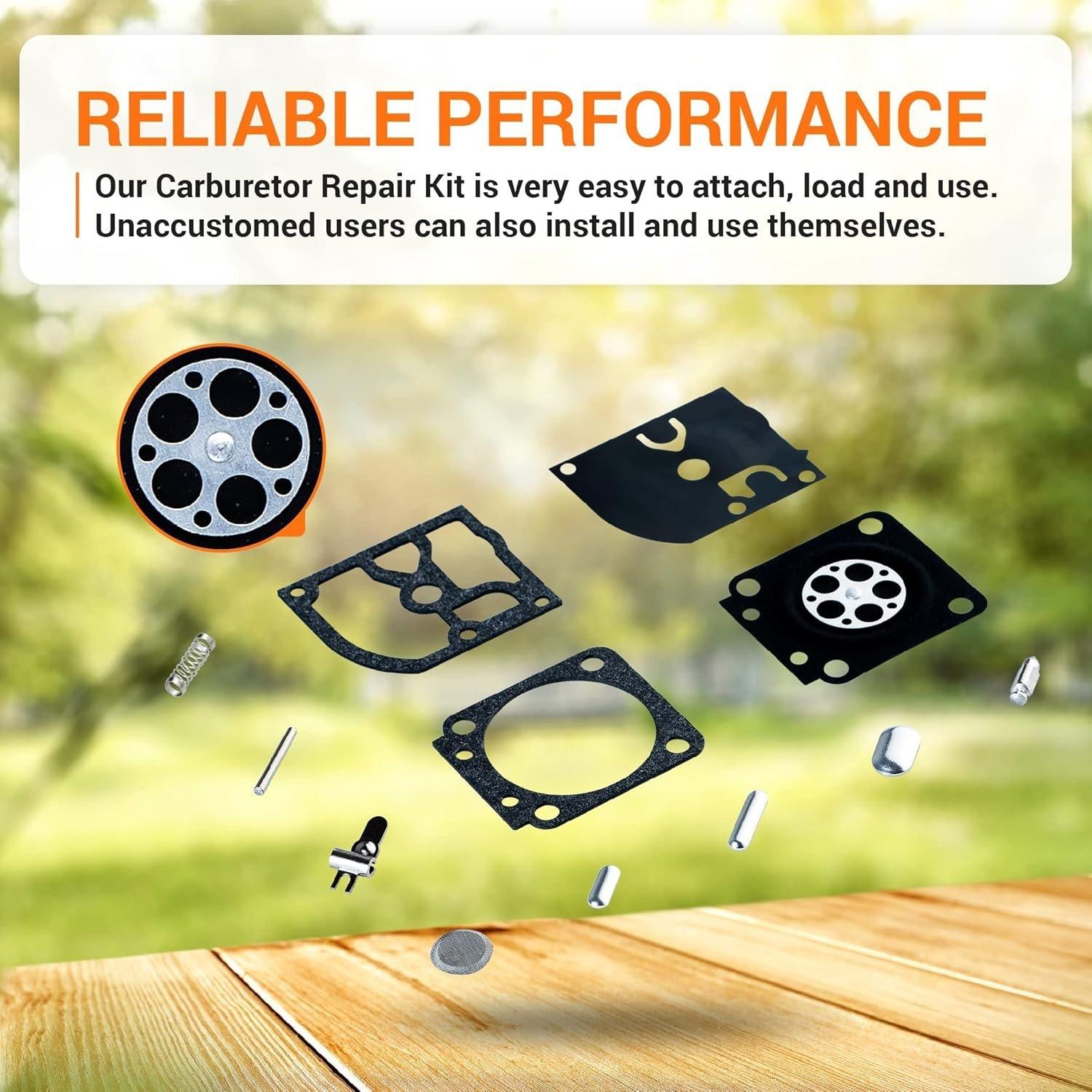 RB-66 Carburetor Carb Rebuild Kit image 2