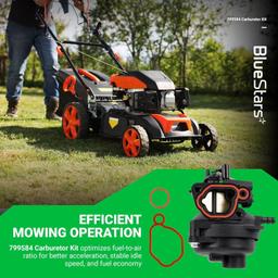 [Lifetime Warranty] 799584 592361 Carburetor thumbnail 6