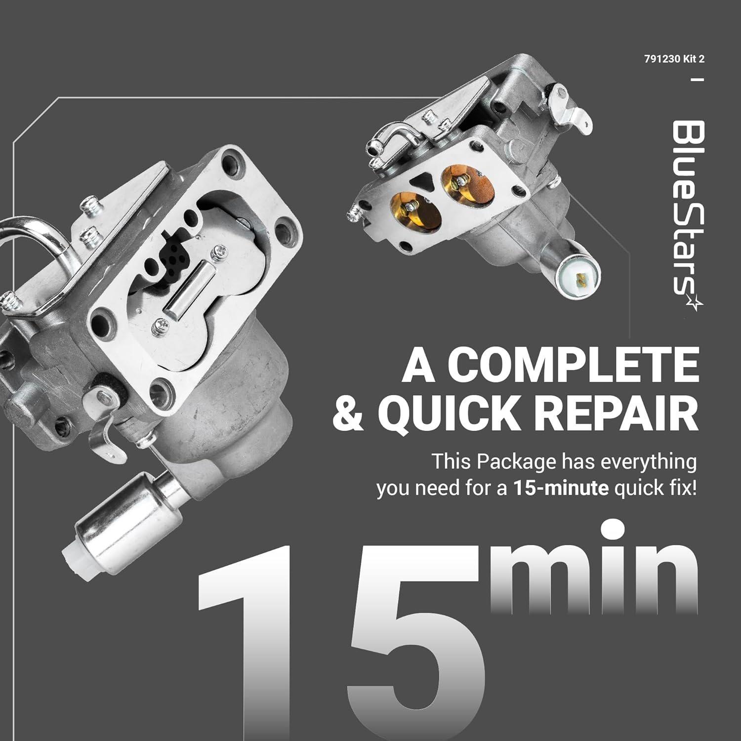 [Lifetime Warranty] 791230 Carburetor Kit image 6