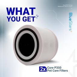 Core P350 Pet Care Replacement Filter, 2 Pack thumbnail 4