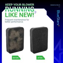 502844401 Air Filter thumbnail 4