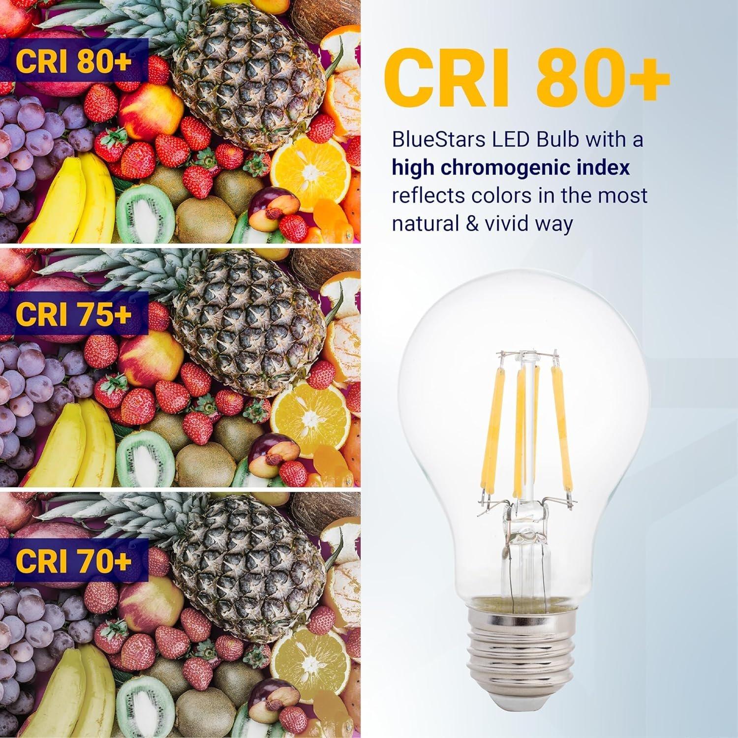 [Lifetime Warranty] Efficient 12V LED Bulb 6W 600Lm E26 Base 12-24V AC/DC - Ideal for Off-Grid Solar Battery Systems, RVs, Marine Lighting - Low Voltage Energy Saving 60W Equivalent - Warm White 2700K - Pack of 6 image 2