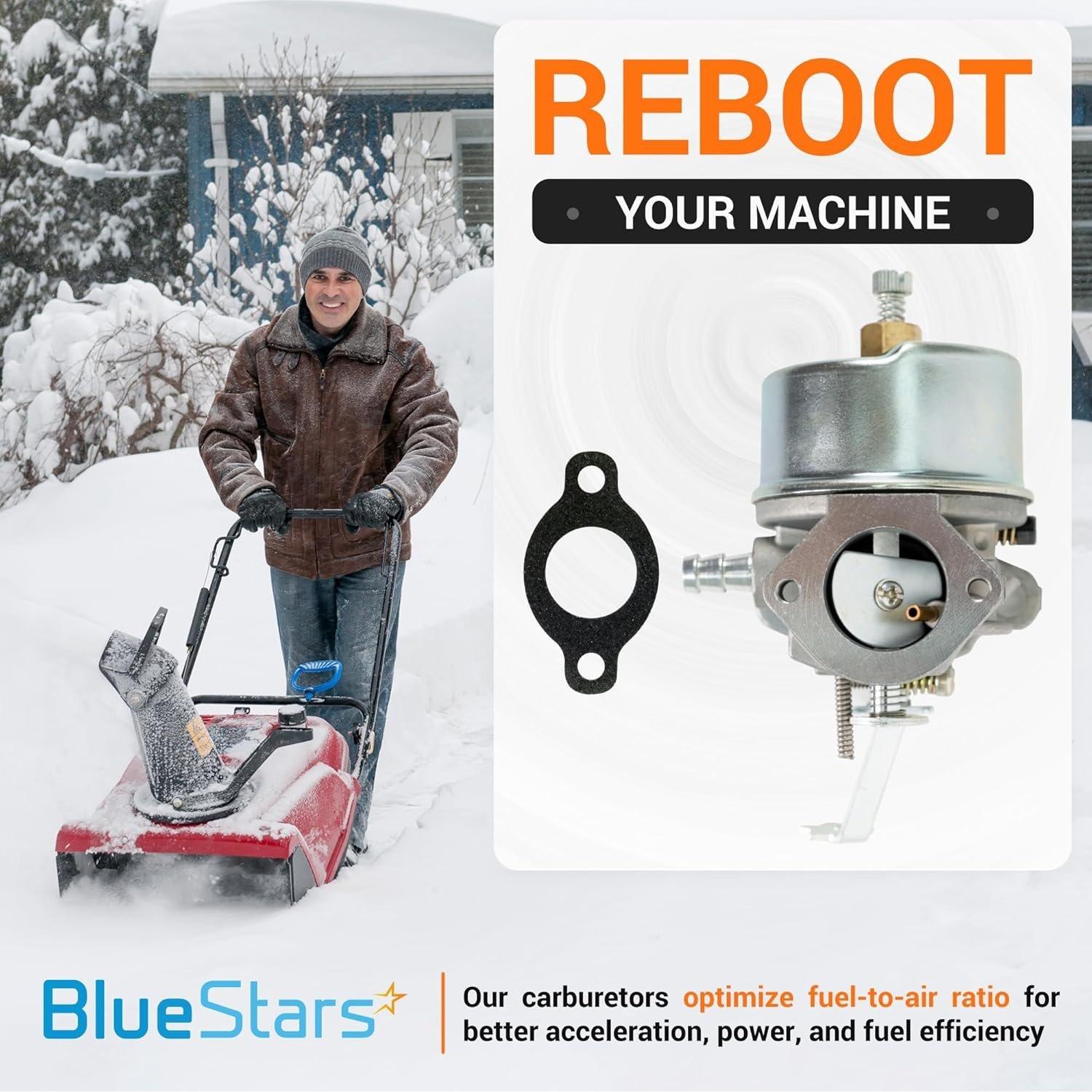 631793 631440 Carburetor with Gasket image 2