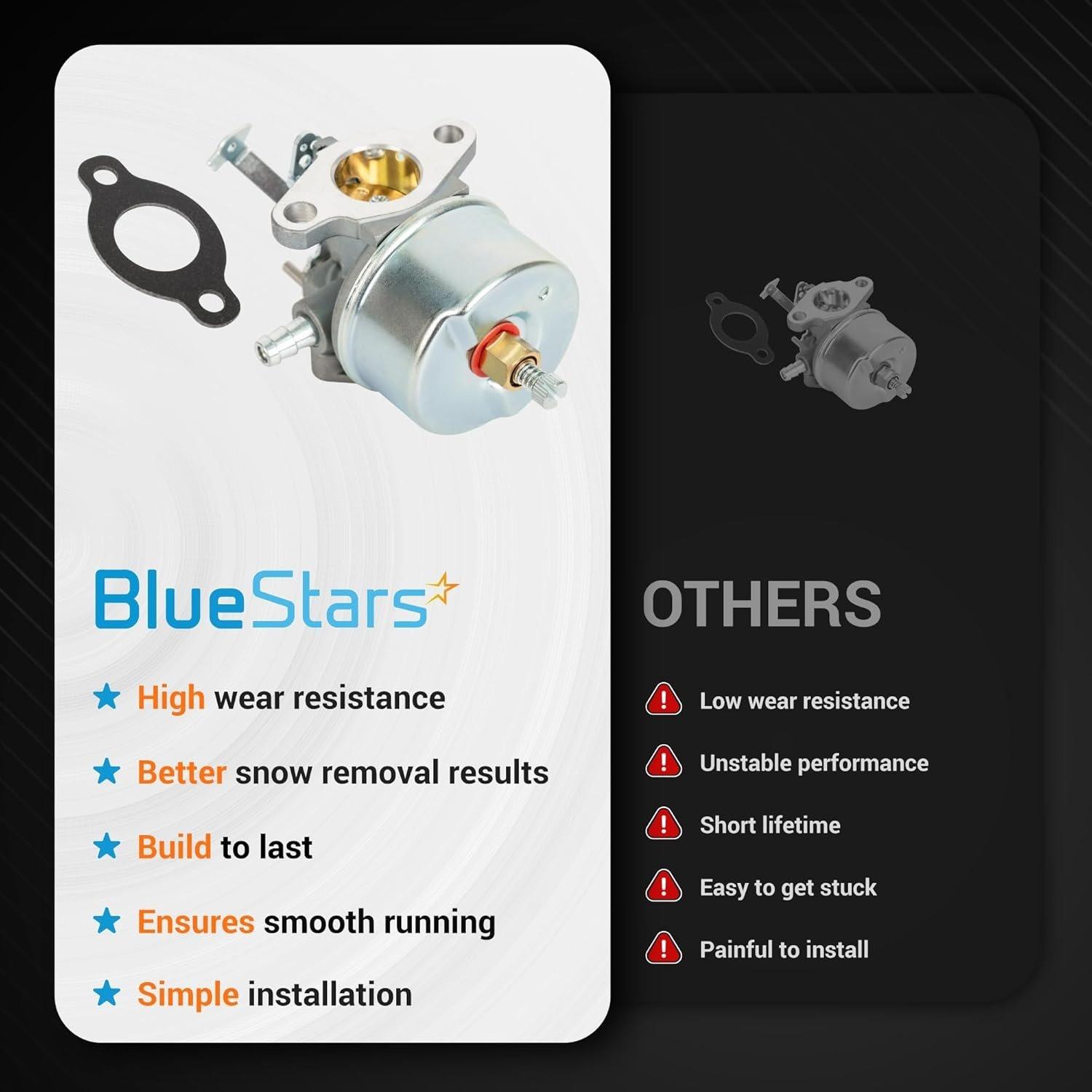 631793 631440 Carburetor with Gasket image 6