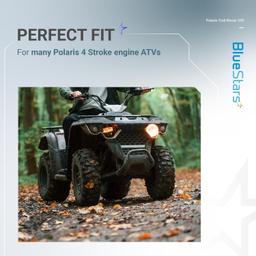 3130383 Carburetor Kit thumbnail 6