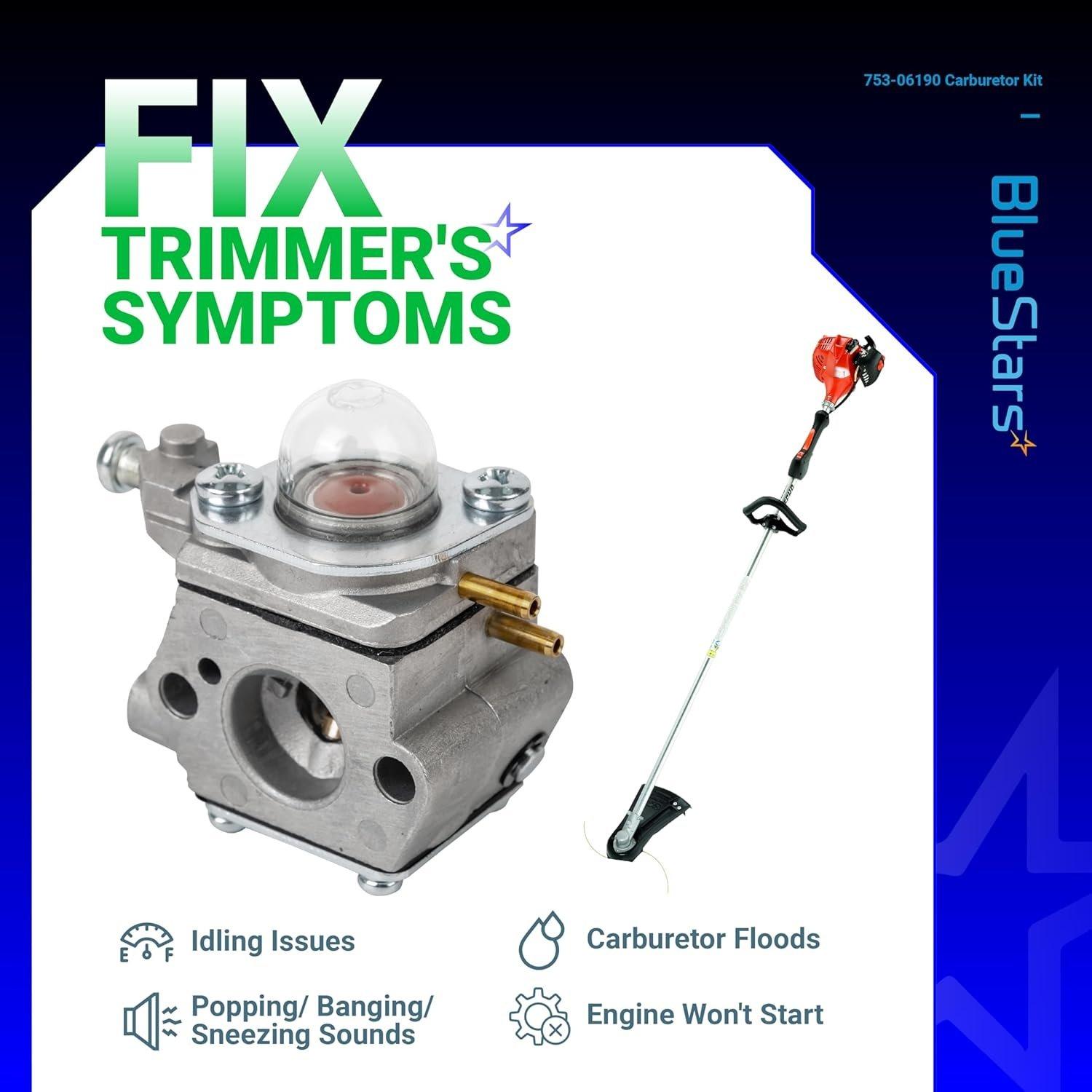 [Lifetime Warranty] 753-06190 WT-973 Carburetor image 3