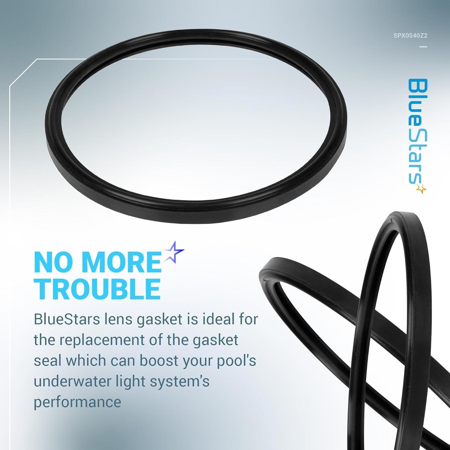 [Lifetime Warranty] SPX0540Z2 Underwater Light Lens Gasket Hayward Astrolite image 1