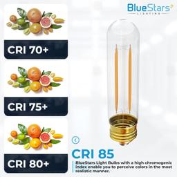 [Lifetime Warranty] 6-pack (Christmas Decoration) T10 Tubular LED Light Bulbs T30 E26 Medium Base thumbnail 5