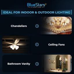 [Lifetime Warranty] 6-pack (Christmas Decoration) T10 Tubular LED Light Bulbs T30 E26 Medium Base thumbnail 8