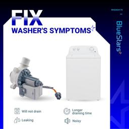 [Lifetime Warranty] 290D1201G003 290D1201G001 WH23X28418 Washer Drain Pump - For GE Hotpoint GTW330ASK GTW460ASJ GTW220ACK HTW240ASK - Replaces B40-3A01 AP6889136 PS12723115 B30-3A02 EAP12723115 WH23X24178 thumbnail 5
