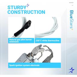 [Lifetime Warranty] 002003F Pilot Natural/Propane Lid Pool Heater Parts thumbnail 3