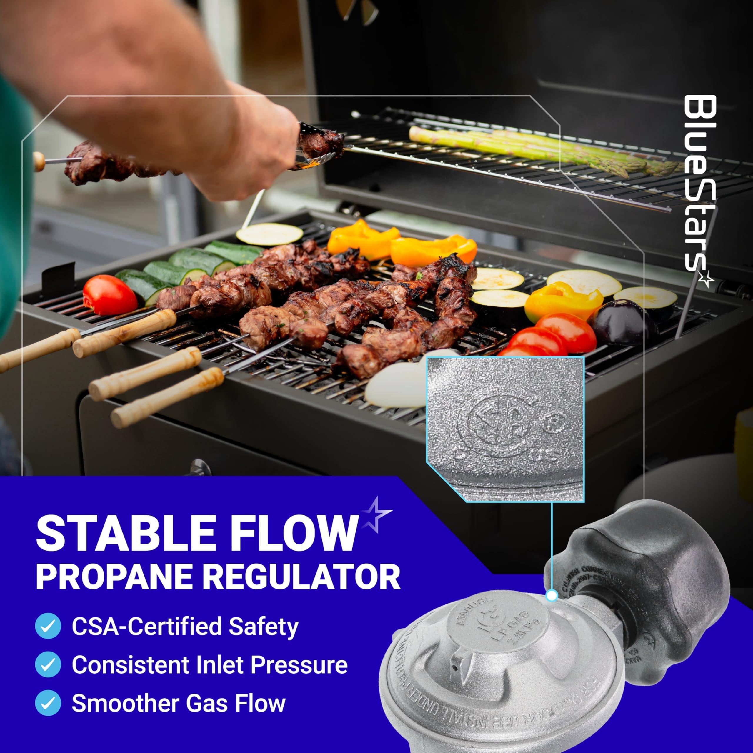 [Lifetime Warranty] [CSA Certified] 25IN for Weber Hose and Regulator Kit, for Weber Genesis/Spirit/Spirit II 2017-2019/ Summit Silver/Gold Series, Grill Regulator Replacement Parts for 7627 67069 69891 image 8