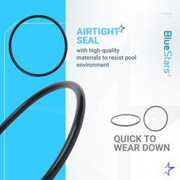 [Lifetime Warranty] R172009 Cap O-Ring for Automatic Chlorine/Bromine Pool/Spa Filter - Compatible with Pentair Rainbow Automatic Chlorine/Bromine Pool and spa Feeder 300 302 300-29X 320 322 - Pack of 2 thumbnail 5