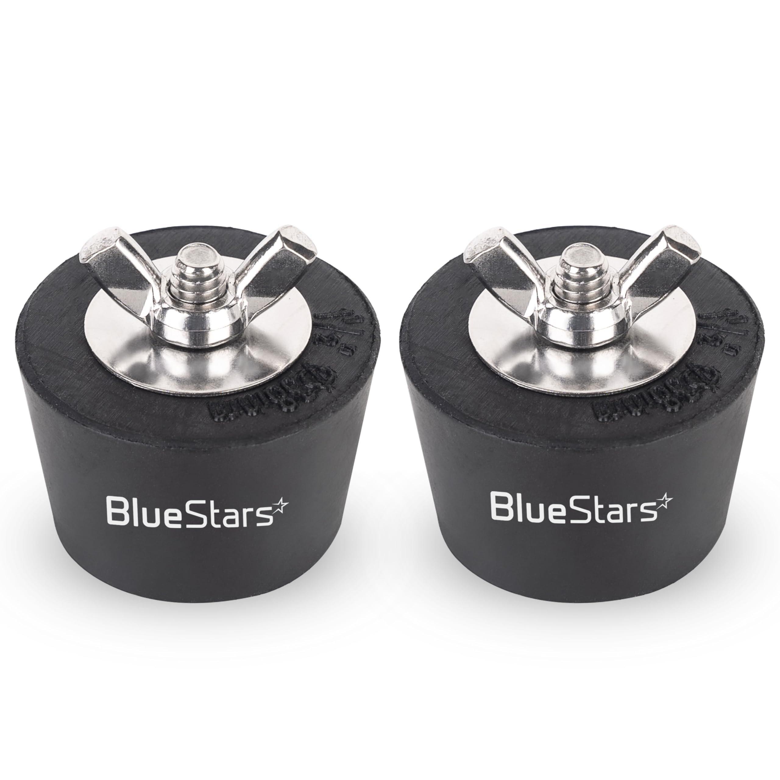 [Lifetime Warranty] Swimming Pool Winter Expansion Rubber Plugs - Pack of 2 image 0