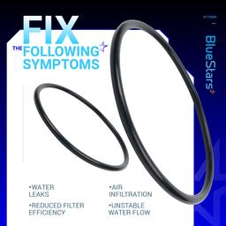 [Lifetime Warranty] R172009 Cap O-Ring for Automatic Chlorine/Bromine Pool/Spa Filter - Compatible with Pentair Rainbow Automatic Chlorine/Bromine Pool and spa Feeder 300 302 300-29X 320 322 - Pack of 2 thumbnail 4