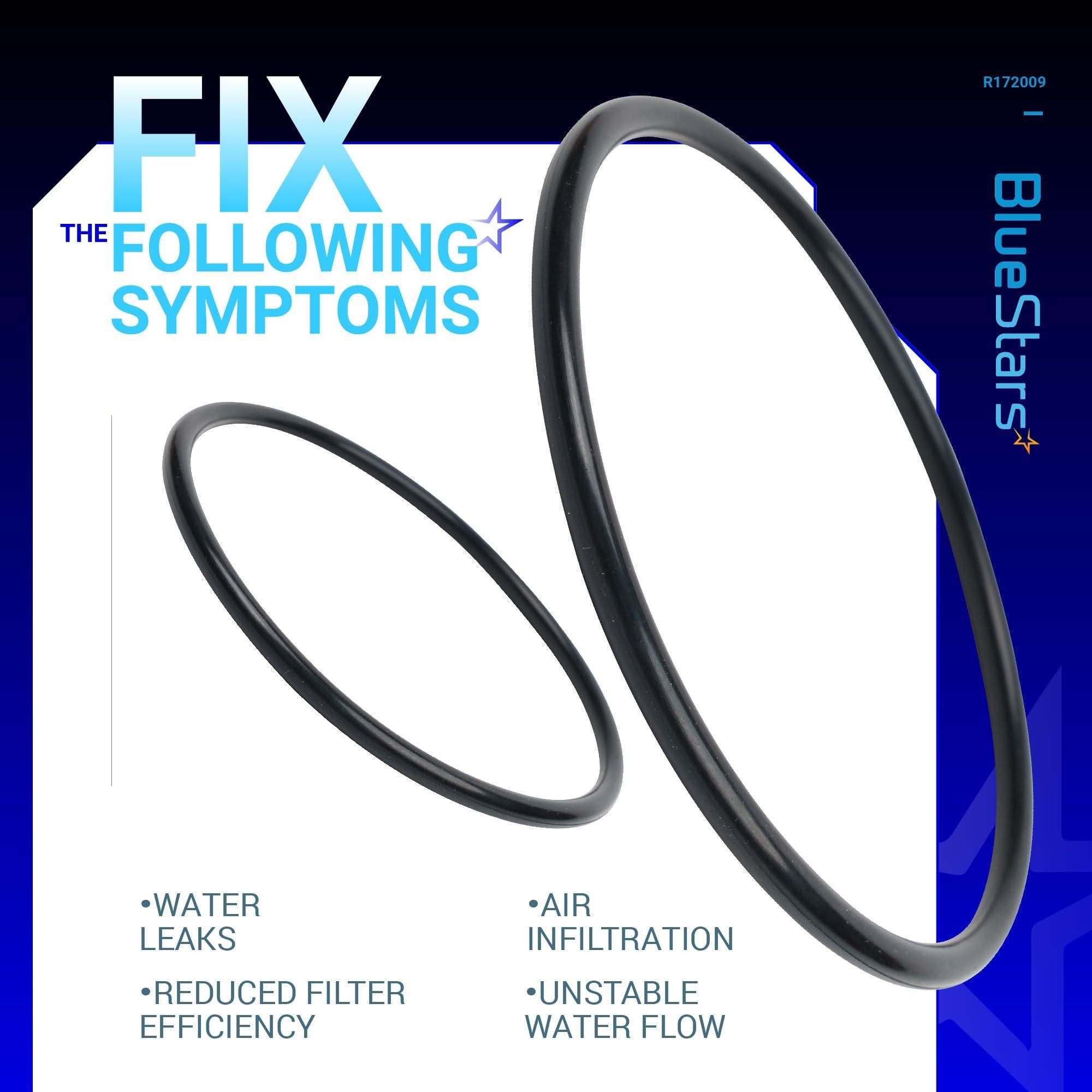 [Lifetime Warranty] R172009 Cap O-Ring for Automatic Chlorine/Bromine Pool/Spa Filter - Compatible with Pentair Rainbow Automatic Chlorine/Bromine Pool and spa Feeder 300 302 300-29X 320 322 - Pack of 2 image 4