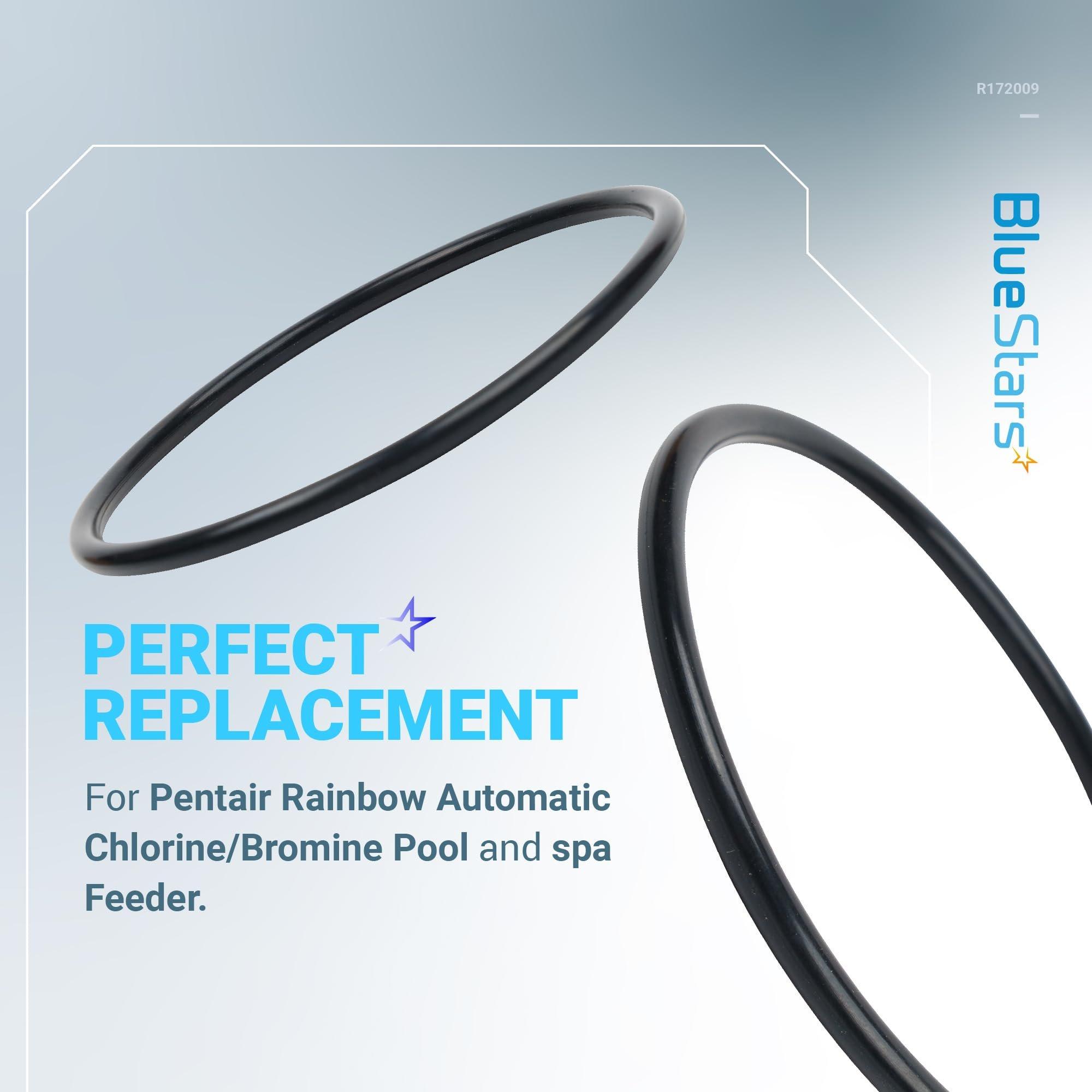 [Lifetime Warranty] R172009 Cap O-Ring for Automatic Chlorine/Bromine Pool/Spa Filter - Compatible with Pentair Rainbow Automatic Chlorine/Bromine Pool and spa Feeder 300 302 300-29X 320 322 - Pack of 2 image 1